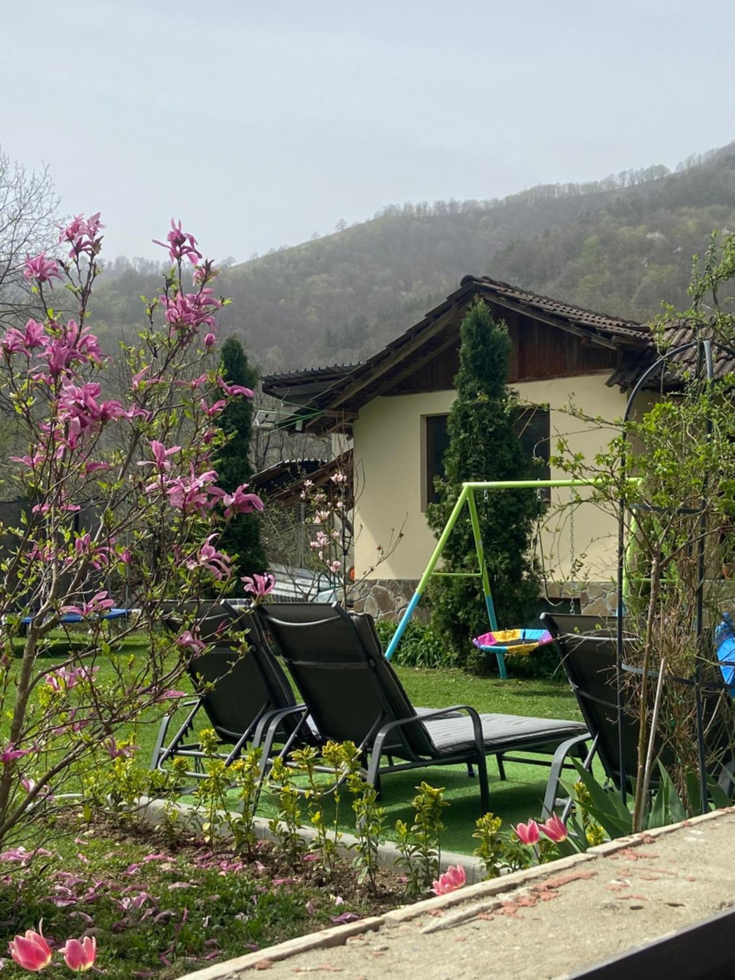 Guest House Rest Cherni Osum Dış mekan fotoğraf
